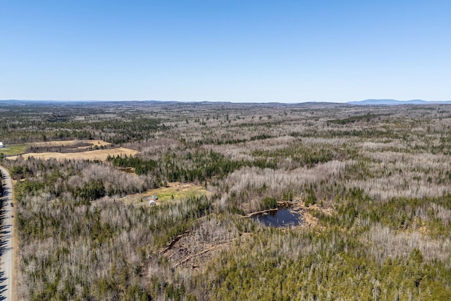 291 River Rd, Milo, ME 04463 - property view of mountains