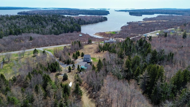 aerial view featuring a water view and a view of trees