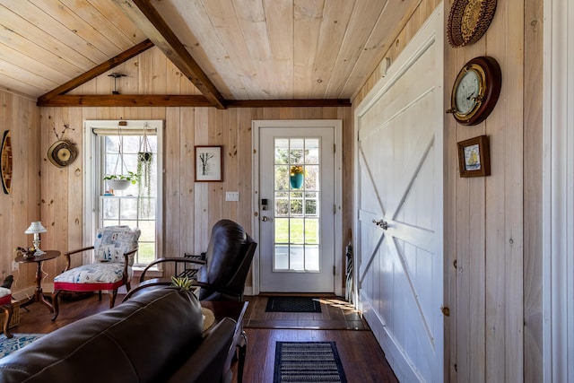 entryway featuring a wealth of natural light, wooden ceiling, wood walls, and dark wood-style floors