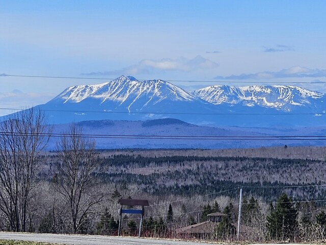 mountain view