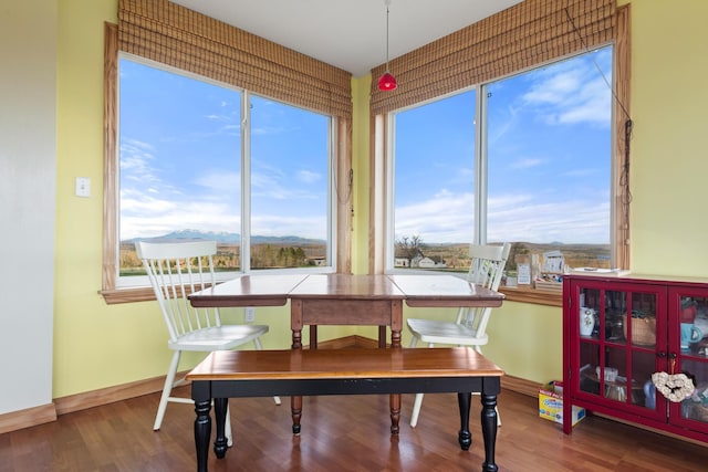 dining area featuring baseboards, a wealth of natural light, and wood finished floors