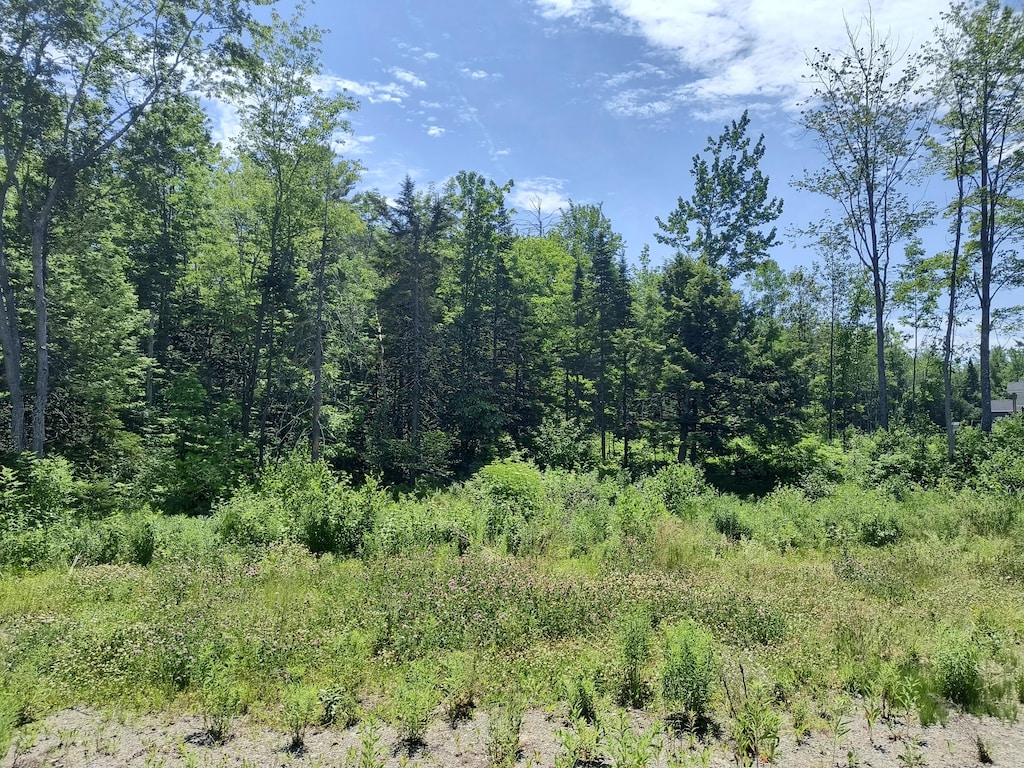 0 Birchwood Ter, Pittsfield, ME 04967 - photo 1