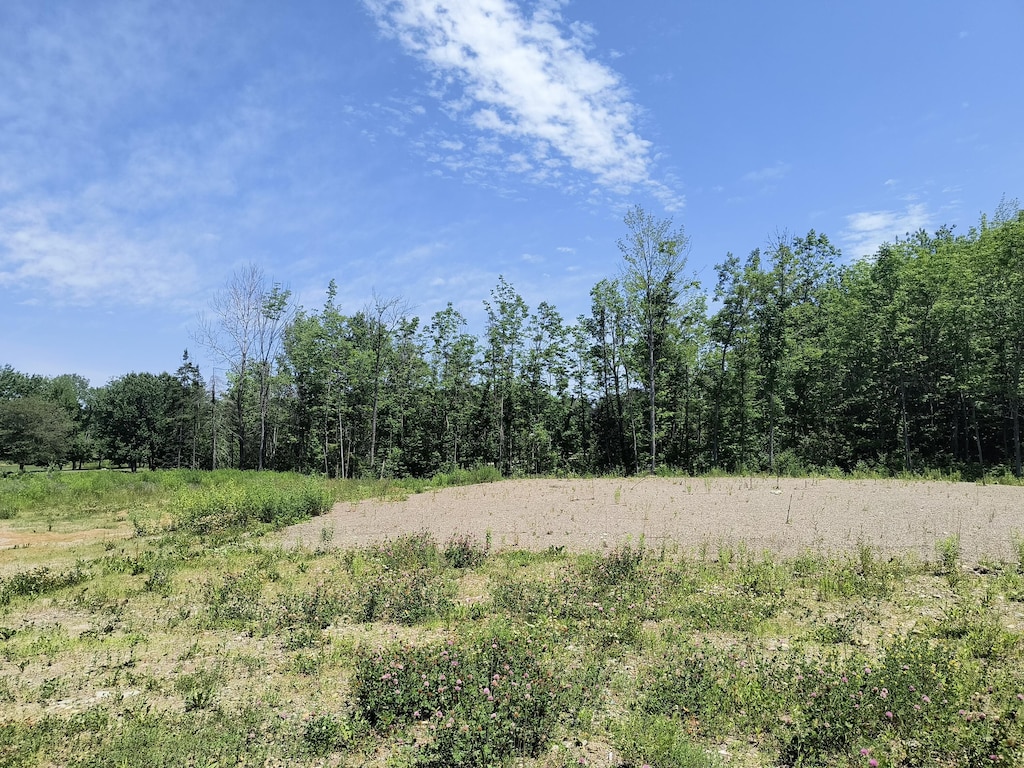 0 Birchwood Ter, Pittsfield, ME 04967 - photo 3