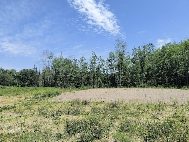 0 Birchwood Ter, Pittsfield, ME 04967 - photo 3