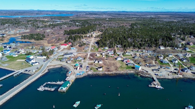 10 Wharf St, Jonesport, ME 04649 - aerial view featuring a water view and a view of trees
