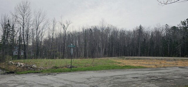 00 Birchwood Ter, Pittsfield, ME 04967 - photo 4