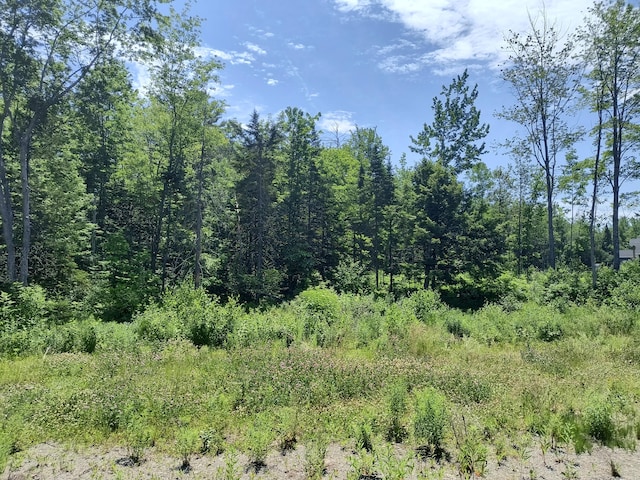 00 Birchwood Ter, Pittsfield, ME 04967 - photo 9
