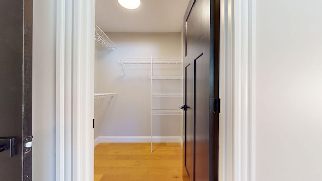 walk in closet featuring light wood-style floors