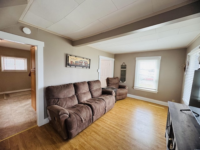 26 Hammond St, Caribou, ME 04736 - living room with baseboards, plenty of natural light, ornamental molding, and wood finished floors