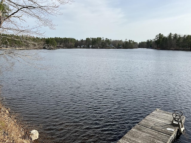 150 Birchwood Rd, Gray, ME 04039 - dock area with a water view