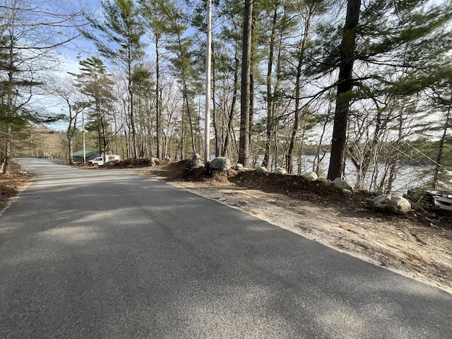150 Birchwood Rd, Gray, ME 04039 - view of road