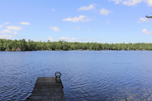 150 Birchwood Rd, Gray, ME 04039 - view of dock featuring a water view