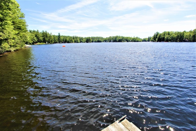 150 Birchwood Rd, Gray, ME 04039 - property view of water featuring a wooded view
