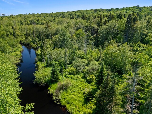 12 Burns Dr, Friendship, ME 04547 - aerial view of a forest and a large body of water