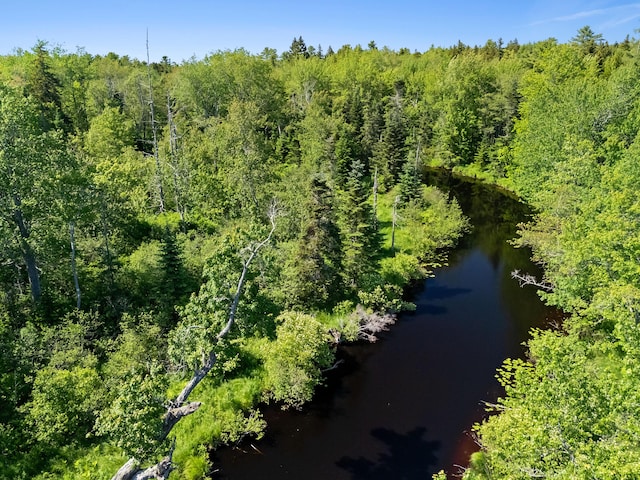 12 Burns Dr, Friendship, ME 04547 - drone / aerial view of a forest