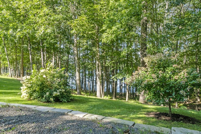 1515 Old Augusta Rd, Waldoboro, ME 04572 - view of yard