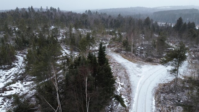 LOT9 Parker Pond Rd, Sebec, ME 04481