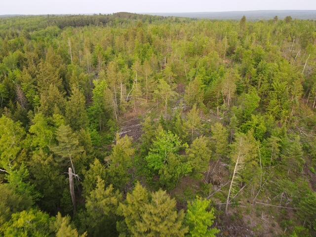 LOT9 Parker Pond Rd, Sebec, ME 04481