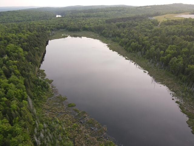 LOT9 Parker Pond Rd, Sebec, ME 04481