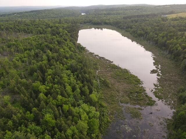 LOT9 Parker Pond Rd, Sebec, ME 04481