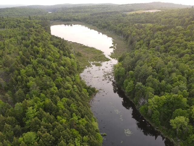 LOT9 Parker Pond Rd, Sebec, ME 04481