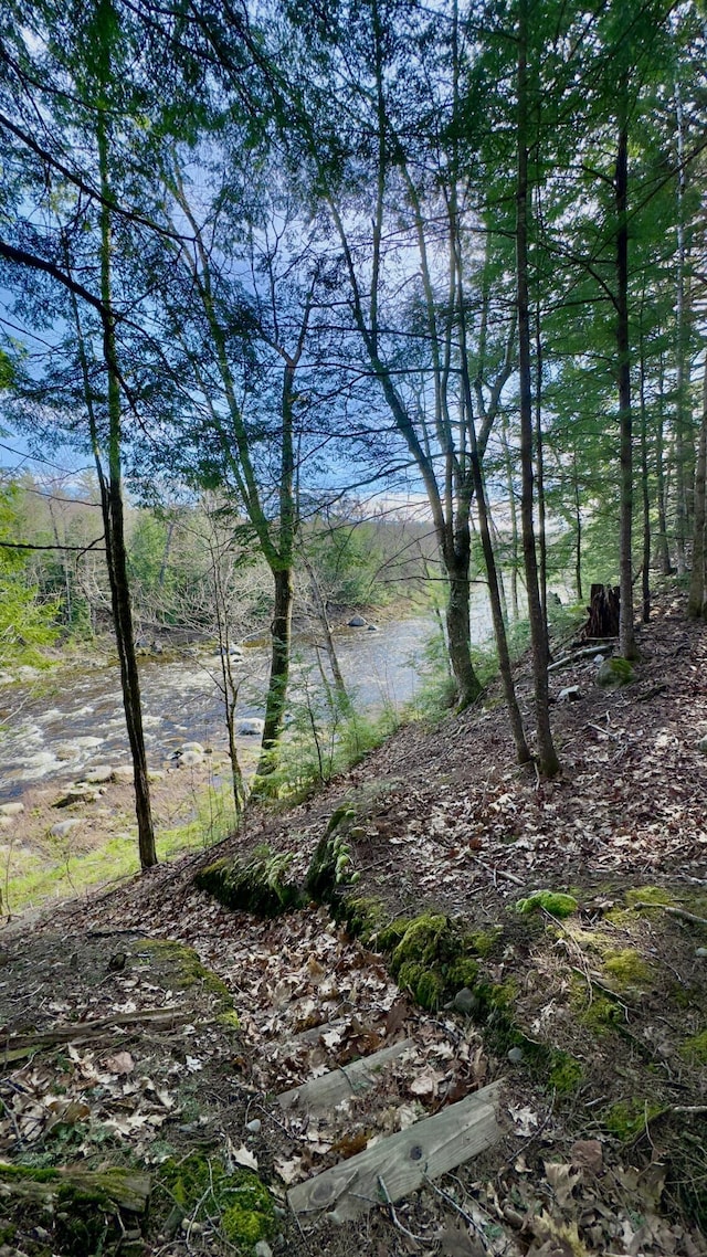 M8/L33-7 Monson Junction Ln, Abbot, ME 04406