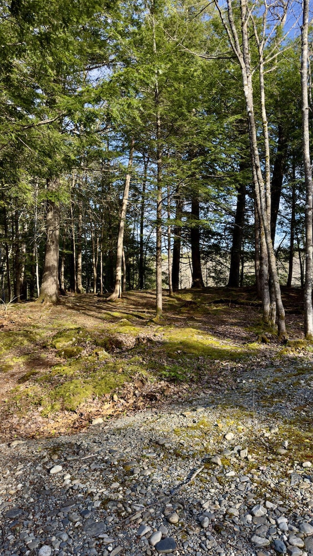 M8/L33-7 Monson Junction Ln, Abbot, ME 04406