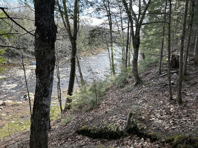 M8/L33-7 Monson Junction Ln, Abbot, ME 04406