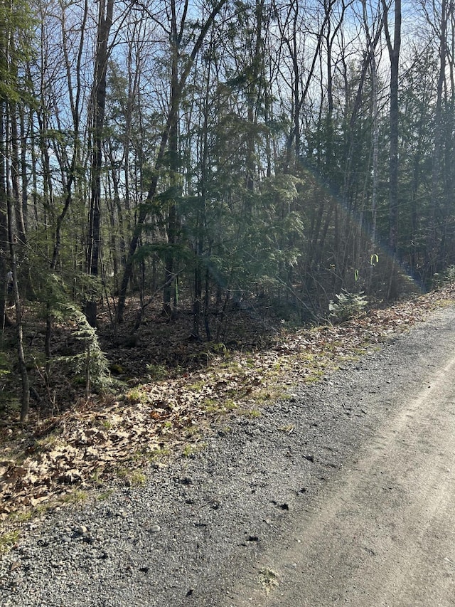 M8/L33-7 Monson Junction Ln, Abbot, ME 04406