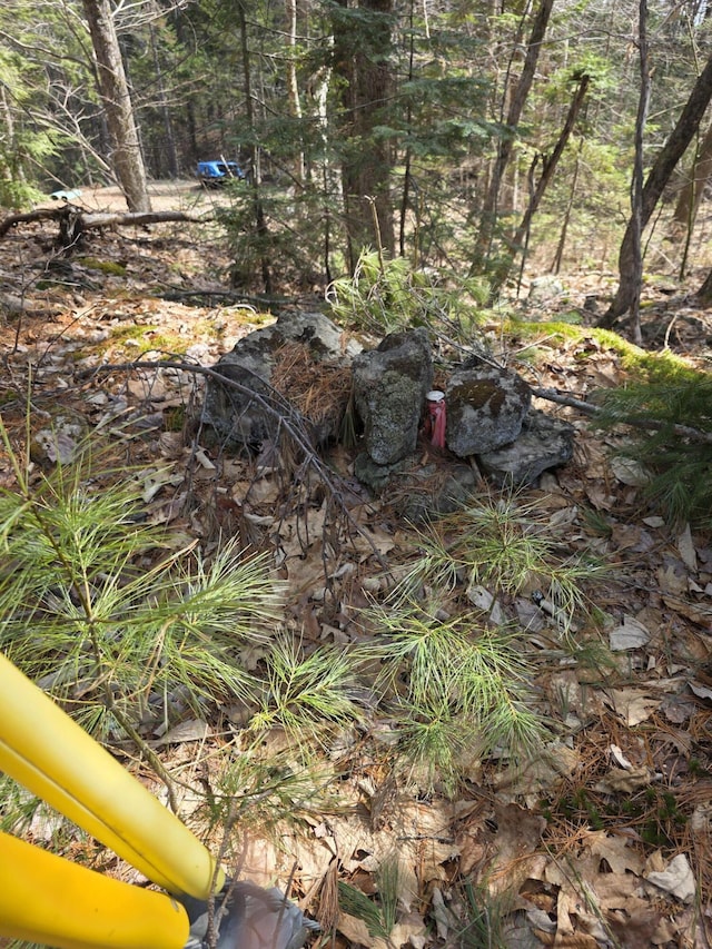 LOT011-13 Benner Rd, Liberty, ME 04949