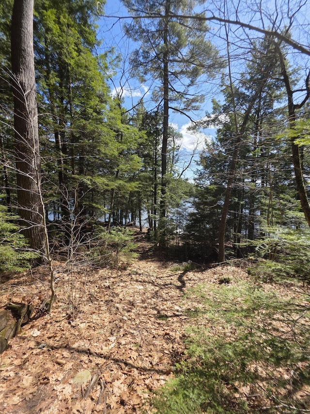 LOT011-13 Benner Rd, Liberty, ME 04949