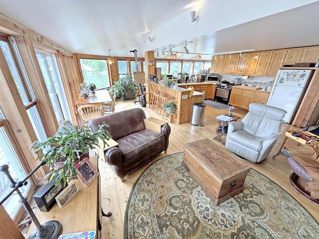 living area with vaulted ceiling and light wood-style floors