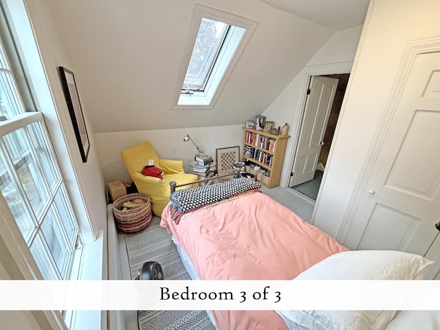 bedroom featuring lofted ceiling with skylight and multiple windows