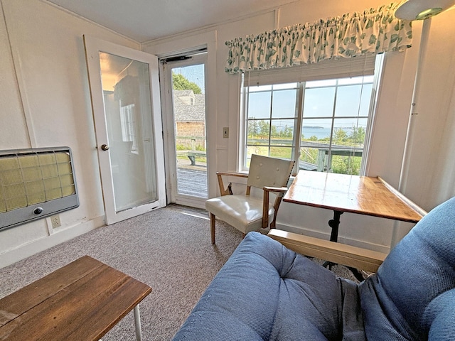 living room with heating unit and carpet