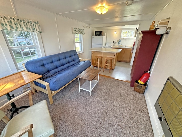 living room featuring light carpet