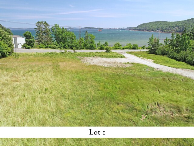 view of yard featuring a water view