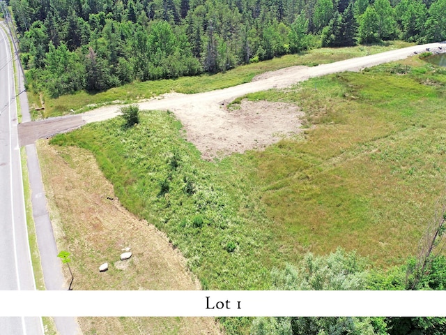 drone / aerial view featuring a view of trees