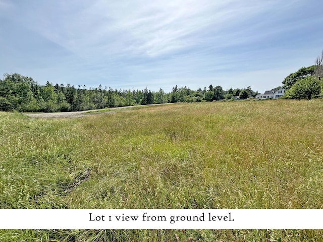 view of landscape with a rural view