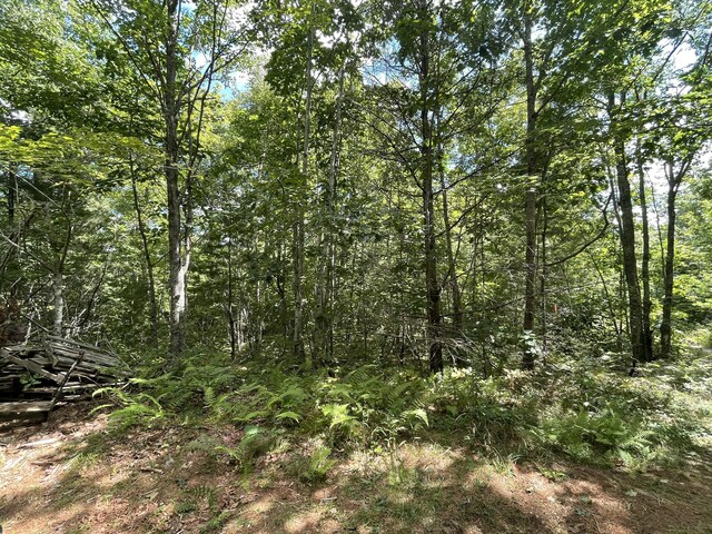 LOT68-11 Shore Rd, Bremen, ME 04551