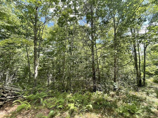 LOT68-11 Shore Rd, Bremen, ME 04551