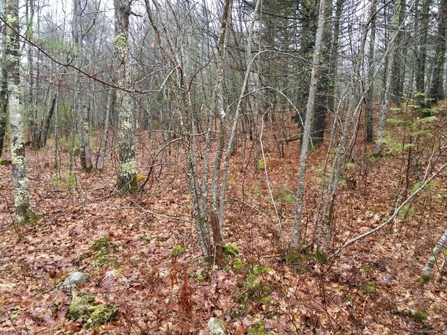 LOT68-11 Shore Rd, Bremen, ME 04551