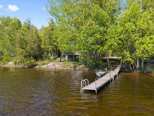 32 Whites Pond Rd, Palmyra, ME 04965 - dock featuring a water view