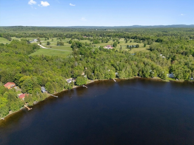 32 Whites Pond Rd, Palmyra, ME 04965 - aerial view of property's location featuring a heavily wooded area and a large body of water