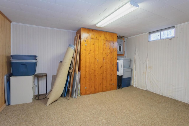 107 Elm St, Farmington, ME 04938 - below grade area with wood walls, carpet, and electric panel
