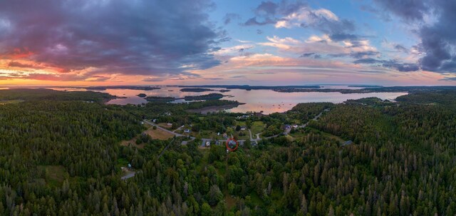 412 N Lubec Rd, Lubec, ME 04652 - aerial view at dusk of a view of trees and a water view