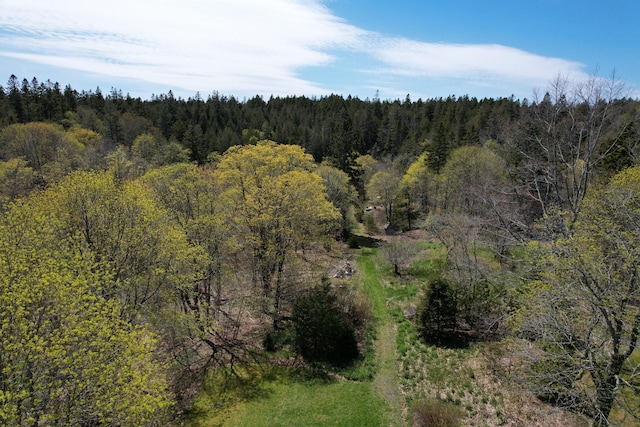 412 N Lubec Rd, Lubec, ME 04652 - view of woods