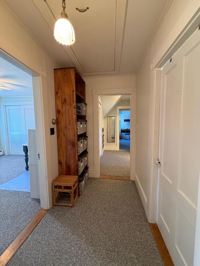 412 N Lubec Rd, Lubec, ME 04652 - hall with carpet flooring, attic access, and ornamental molding