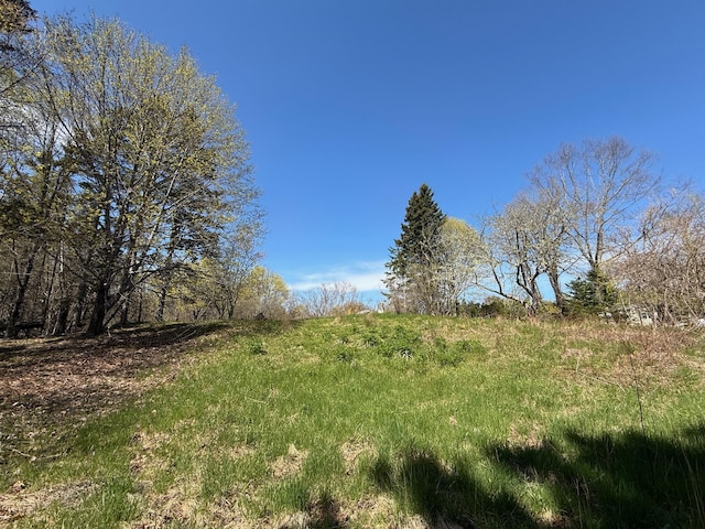 412 N Lubec Rd, Lubec, ME 04652 - view of nature