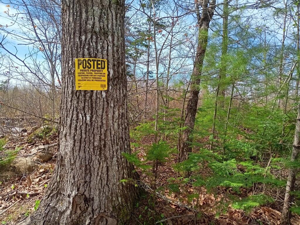 020 Dodge Rd, Montville, ME 04941 - photo 1