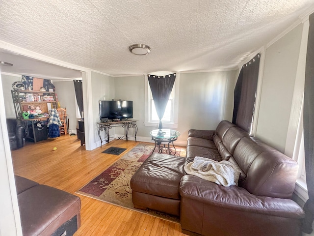 6 Hudson St, Bangor, ME 04401 - living room with crown molding, a textured ceiling, and wood finished floors
